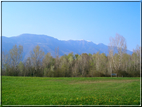 foto Oasi San Daniele